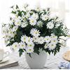 Anaoo Fiori artificiali di margherita per vaso, piante artificiali decorazione per casa sposa Hogar ufficio giardino finestra festa balcone composizioni floreali bianco