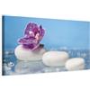 murando Quadro 135x45 cm 1 pezzo Stampa su tela XXL Immagini moderni Murale Fotografia Grafica Decorazione da parete Natura Feng Shui Spa Fiori Orchidea Pietra bianco rosa blu b-B-0214-b-a