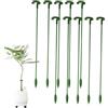 Ruwshuuk Bastoncini per piante | 10 pali per fiori da giardino, riutilizzabili, per interni, giardino, orchidea, rosa, , giglio, serra, balcone