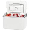 Générique Mini frigo rigido con manico impermeabile portatile isolato 5 L, refrigeratore rigido per auto, esterno, campeggio, picnic, barca, escursionismo, spiaggia, viaggi, viaggi e tailgati