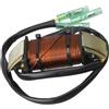 ForgeCore Gruppo Bobina alternatore 3G2-06023-1 3G2060231 3G2060231M Compatibile con Motore fuoribordo NS M18E2 M15D M9.9D