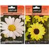 Semillas Batlle Battle- Semi di Fiori, Girasole Nano Giallo & Semi di Fiori - Margherita Gigante Leucantemum Bianca