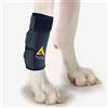 AGON Tutore a Compressione per Zampe Anteriori e Canine, Protegge Le ferite, previene lesioni e distorsioni, Aiuta a Perdere stabilità causata dall'artrite (L/XL)