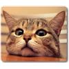 HAOSSUW Tappetino per mouse personalizzato con gatto curioso e carino guardarti con occhi desiderosi sul tavolo