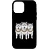 Cool 3 Hip Hop Trio Street Gold Chain Fu Custodia per iPhone 12 mini Shiba Inu Dog Rap Old School Retro Streetwear 80s 90s Tre