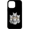 Cool 3 Hip Hop Trio Street Gold Chain Fu Custodia per iPhone 13 Pro Max Tabby Cat Rap Old School Retro Streetwear anni '80 '90 Tre