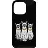 Cool 3 Hip Hop Trio Street Gold Chain Fu Custodia per iPhone 13 Pro Siamese Cat Rap Old School Retro Streetwear 80s 90s Tre