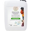 BioDea Flavor 10 LT