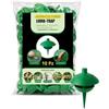 AGRI-CULTURA® | Trappola per Lumache 10 Pezzi | Trappola Anti Lumache per Orto e Giardino | Contenitore Esca Antilumaca | Esca Protetta da Pioggia e Animali.