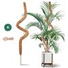 Hisdricus 120 cm Palo di Muschio - Sostegno Supporto per Piante in Fibra di Cocco - Bastone per Piante Rampicanti con Corda di Iuta e Chiusura a Strappo - Adatto alla Crescita di Monstera e Altre Rampicanti