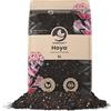 Sybotanica - Terricio per Hoya 5 L - Substrato di cocco premium per Hoya - Senza torba - Concime organico 180 giorni - Ideale per piante da interno