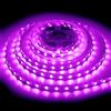 ShineBurky Striscia LED 12V 5 Metri Rosa, Strisce LED Adesive SMD5050 300LEDs Luci LED Strip Light Flessibili Tagliabile per Camera Cucina TV Decorazione (Senza Alimentatore)