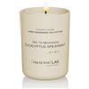 M&SENSE Candele alla Soia 250g in Vetro, Eucalipto e Menta Verde, 50H Combustione, Cera Soia Naturale Candela Non Tossico, Aromaterapia Relax, Regalo di Lusso Donne & Mamma