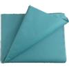 NN BARGAINS 20 fogli di carta velina MG turchese 50,8 x 76,2 cm, senza acidi