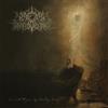 A Wake In Providence I Write to You, My Darling Decay (CD) Album (Jewel Case)
