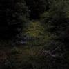 Fireworks Higher Lonely Power (Cloudy (CD)