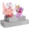 Qichan 5 Pezzi Spugna per Fiori, Spugna per Fiori Finti Rettangolare, Spugne per Fiore Freschi e Artificiali, Spugne Grigio per Fiore per Artigianato/Celebrazioni/Matrimonio