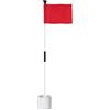 Fenteer Set di Bandiere da Golf, Perni, Buche, Bandiere da Putting Buche, Accessori Facili da Usare, per Ufficio, Cortile, Campo da Golf, 1 Set