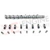 Engine Care Parts CITROËN PEUGEOT FIAT 1.6 Diesel Albero a Camme DV6 DV6FC DV6FD