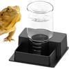 Generico Distributore d'Acqua per Rettili Domestici - Vassoio alimentatore automatico rettili | Erogatore Acqua Automatico Per Lucertole,per serpente, lucertola, drago barbuto, casa, interno, giardino, cortile