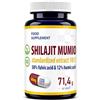 Hepatica Shilajit (Mumijo) 5.000 mg Equivalente | con Acido Fulvico e Oligoelementi | Estratto 10:1 da 500 mg | 120 Capsule Vegane | GMP & laboratorio indipendente