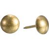 QUARKZMAN Chiodini Per Tappezzeria Puntine Per Mobili 100Pz 11x17mm Kit Assortito Puntine Da Disegno Acciaio Al Carbonio Per Divani Casa Chiodi Decorativi Testa Chiodo Giallo Bronzo
