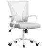 Yaheetech Sedia da Ufficio Scrivania Ergonomica Lombare in Rete Traspirante Reclinabile Altezza Regolabile Girevole con Braccioli e Ruote Portata 136 kg Grigio Chiaro