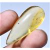 Gemscopious Non Trattato Naturale Ambra con Piccolo Insetto Interno 20.15 KT Certificato