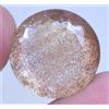 Gemscopious Naturale Rutilo & Sunstone 32.45 KT Agrati Certificato Raro Trovato Due IN Uno