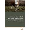 Akin Pala Crossbreeding in Beef Cattle using Terminal Sires (Tascabile)