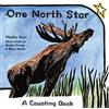 Phyllis Root One North Star (Copertina rigida)