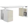 FLEXISPOT Scrivania Regolabile in Altezza 140x80 cm Elettrica Premium con Mobile Laterale Modulare, Stile Elegante per Ufficio Direzionale e Studio Professionale, con Cassetti e Vano PC Fisso