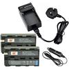 Dste®, 2 batterie di riserva e caricabatterie da viaggio DC01U per Sony NP F550 CCD RV100 CCD RV200 CCD SC5 CCD SC9 CCD TR1 CCD TR215 CCD TR940 CCD TR917 luce Neewer CN 160 NP F330 NP F530 NP F570