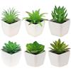 Gresorth 6 piante grasse artificiali in vaso, decorazione finta di aloe verde, modello realistico, mini bonsai, ornamento per casa, bagno, camera da letto, davanzali