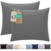 Dreamzie Federa Cuscino 80x80 cm, Set di 2 - Per i Cuscini 80x80cm - Federa da Cuscino - Copri Cuscino per Letto in Microfibra con Cerniera - Oeko-Tex, Antracite
