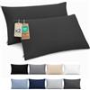 Dreamzie Federa Cuscino 40x80 cm, Set di 2 - Per i Cuscini 40x80cm - Federa da Cuscino - Copri Cuscino per Letto in Microfibra con Cerniera - Oeko-Tex, Nero