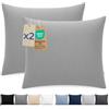 Dreamzie Federa Cuscino 80x80 cm, Set di 2 - Per i Cuscini 80x80cm - Federa da Cuscino - Copri Cuscino per Letto in Microfibra con Cerniera - Oeko-Tex, Grigio