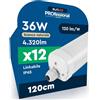 Eurocali 12 Plafoniere LED Impermeabili 36W 120CM 4320 Lumen Waterproof IP65 - Luce Naturale 4000K - Tubo Plafoniera Lineare da Soffitto per Box Garage Magazzino e Ufficio con Alta Luminosità 120 lm/W