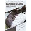 Novitsky, Iva Banded Shark: From Novice To Expert. Comprehensive Aqua Book NUOVO