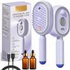 Generico Electric Spray Air Cushion Massage Comb, Electric Hair Brush Women with Water Spray, 3-in-1 Anti-Static Detangling Comb & Air Cushion Massage for Smoothing Styling & Frizz Control (2PCS C)