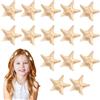 Diyxisk Mollette Capelli Donna, 15 Pezzi Stella Marina Becchi D'oca per Capelli, Resina Fermacapelli, per Feste di Compleanno Bambini, Spettacoli Scolastici, Riunioni di Famiglia