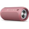 EDUPLINK Altoparlante Bluetooth Portatile Impermeabile - Altoparlante Wireless da 20W con 20 Ore di Autonomia, Accoppiamento TWS, Luci RGB e Slot TF (pink)