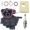 Mtanlo Carburatore compatibile con 799583 591160 593261 591110 Parti e Accessori Motore Sostituimen, Carburatore con QC12YC /BKR5ES /RC12YC Candela di Accensione 799579 Filtro Aria