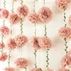 YULONGWU 2 Pezzi Pompon di Carta Velina, 2,5 Metri Pon Pon Carta Velina, Pompon Decorativi per Feste, Pompon Fiori Cartas per Festa di Fidanzamento Matrimonio Compleanno Baby Shower Balli Studenteschi (A)