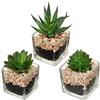 Briful Pianta artificiale, piante grasse artificiali, per soggiorno, bagno, piante ornamentali, piante grasse, altezza 10,5 cm, in vaso di vetro, set da 3
