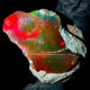 OPAL EMPIRE Opale Nero Grezzo Naturale Fire Opal Etiopico 10 Ct 22x17 mm