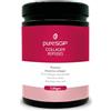 pureSGP® Collagen [300g]: Collagene puro di qualità farmaceutica - Peptidi bioattivi premium da collagene idrolizzato di alta qualità. Con vitamina C e biotina - Gusto neutro - Ottima solubilità