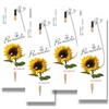 Generico SEMI (GIRASOLE)