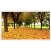 Generic Cornice digitale da 22, 24, 27, 32, display IPS, schermo HD 1080P, macchina pubblicitaria a parete, facile da installare (bianco, 24)