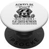 Cool Flat Coated Retriever Dog Designs Divertente cane da caccia con rivestimento piatto Be A Flat Coated Retriever PopSockets PopGrip Adesivo